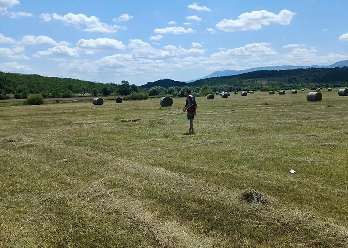 Spartium Loft * Sinj